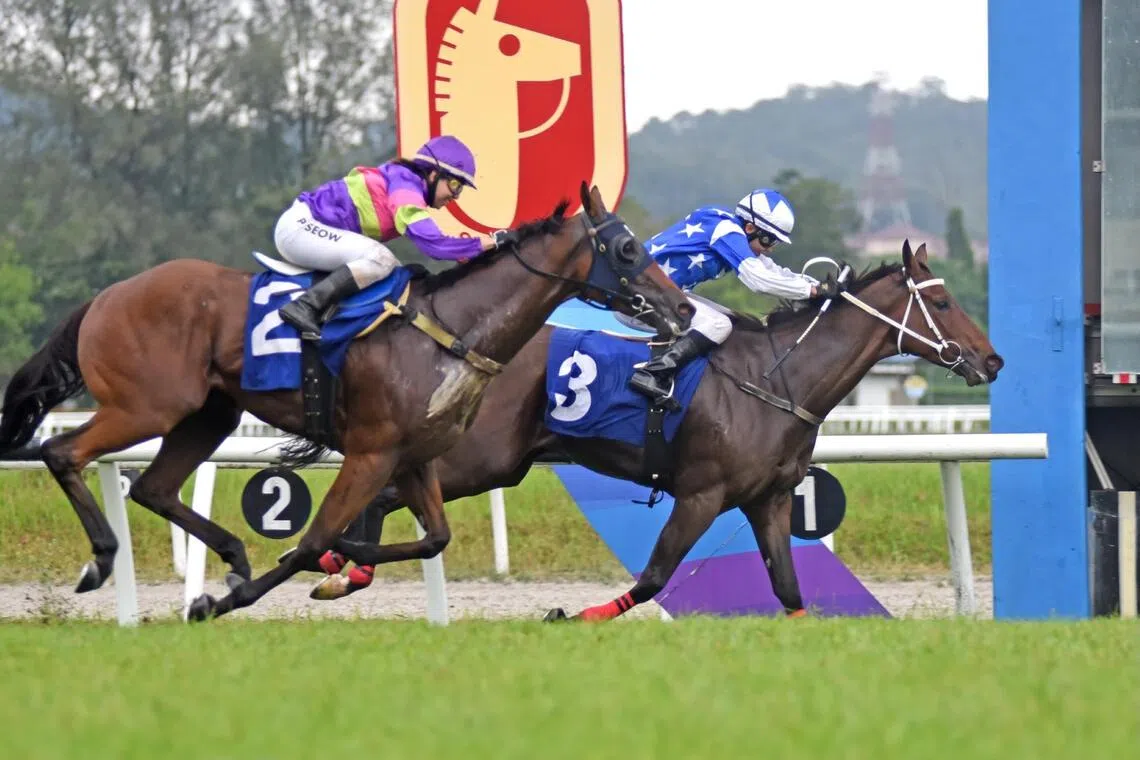 Tycoon Boss - Tycoon Boss


PHOTO: SELANGOR TURF CLUB