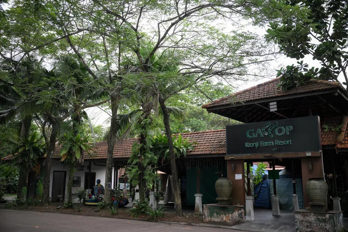 Gallop Kranji Farm Resort is among five lease-holders currently occupying the southern plots at Neo Tiew Lane and Neo Tiew Road.