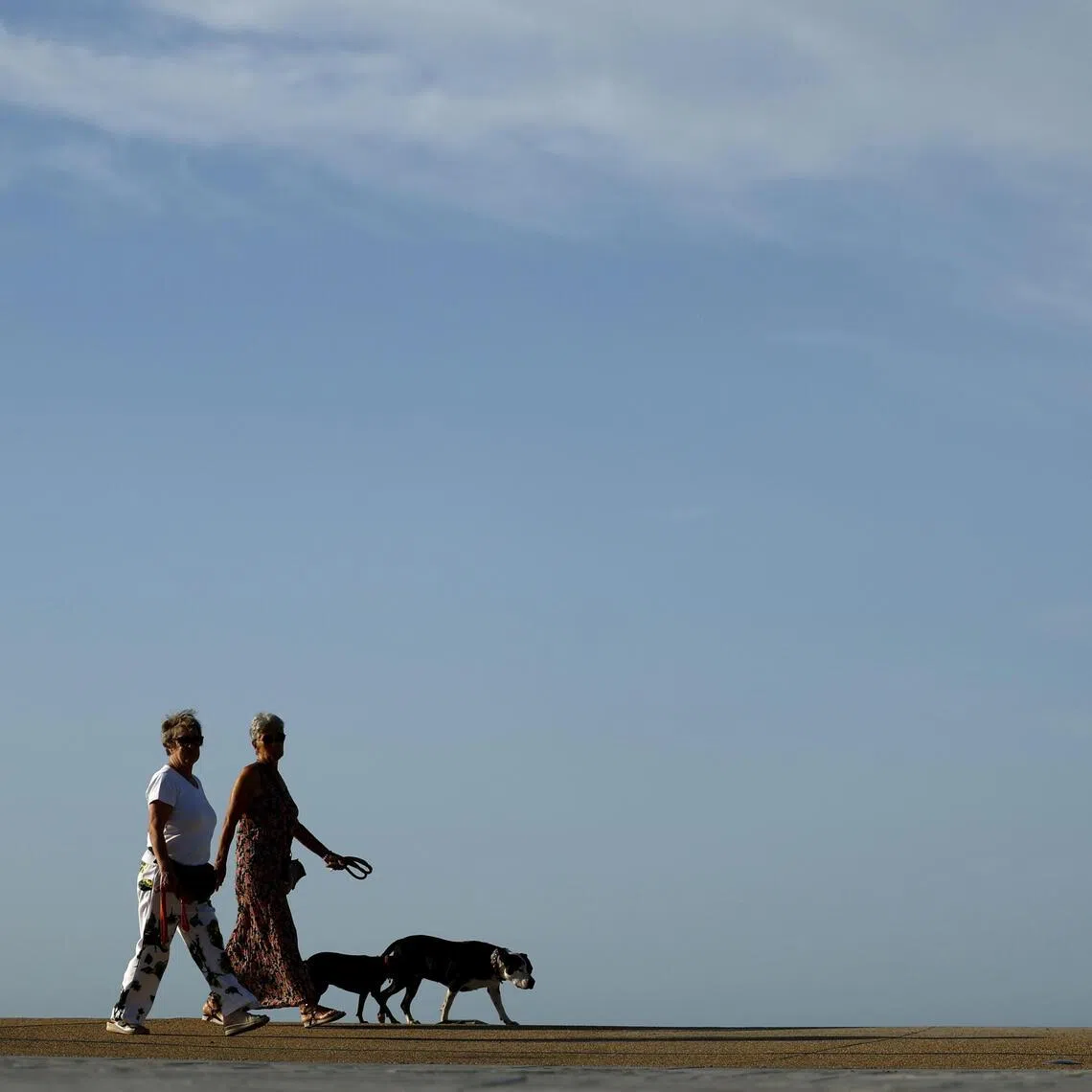 Hotter, drier weather is not just uncomfortable, but also poses health risks for pets beyond a sweaty walk.