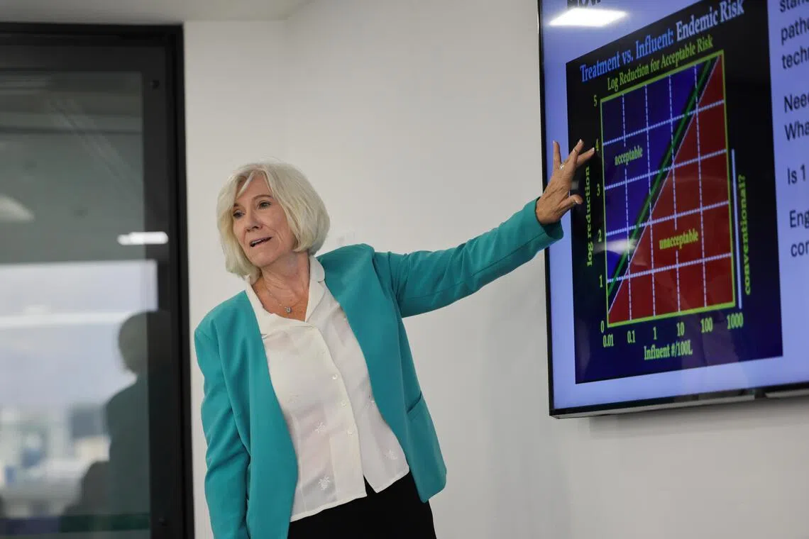 Professor Joan Bray Rose presenting her research during the Lee Kuan Yew Water Prize 2026 press conference on April 16.