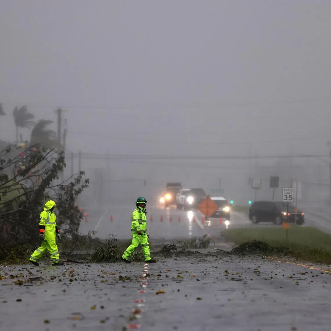 Workers assessing a fallen tree on busy Kanoelehua Ave, in Hilo, Hawaii, on Aug 15.