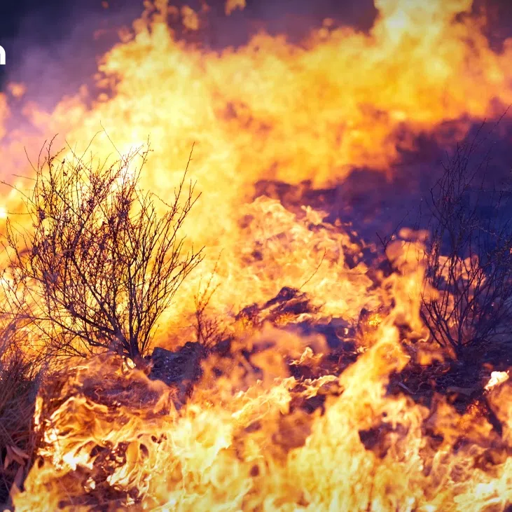 Anyone found setting fire to forests in national parks or wildlife sanctuary areas faces jail terms of between four and 20 years, fines ranging from 400,000 baht to 2 million baht, or both.