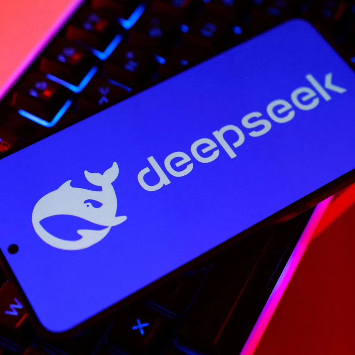 DeepSeek’s funding sets the stage for one of the most highly anticipated Chinese market debuts in years.