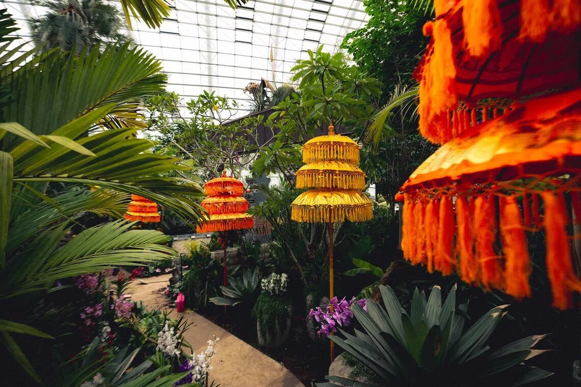 Traditional ceremonial umbrellas, called Balinese Tedung, in the Flower Dome at Gardens by the Bay.