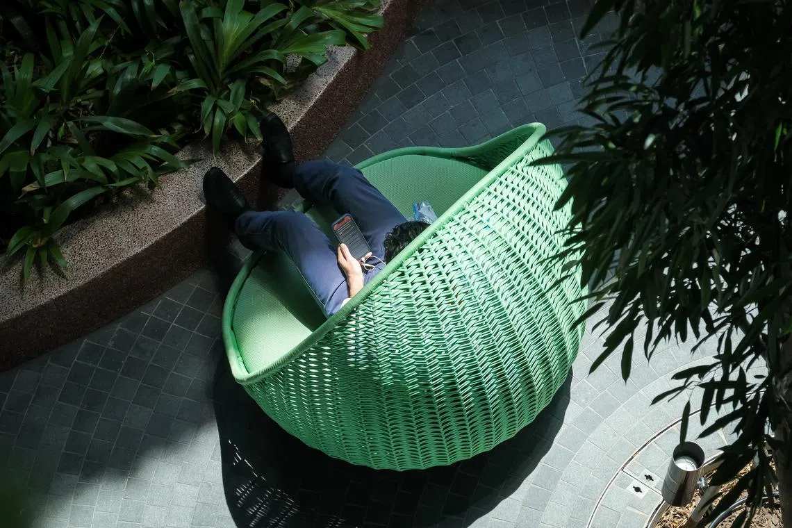 When there is no timely communication from authoritative sources, people turn to any source that is available, even at the risk of falling prey to falsehoods.