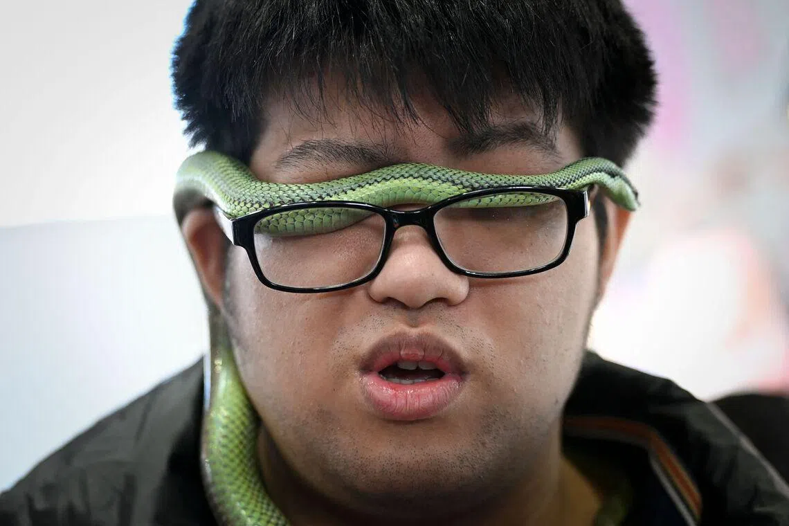 A visitor with his pet snake at a pet fair in Beijing, on March 19, 2026. 