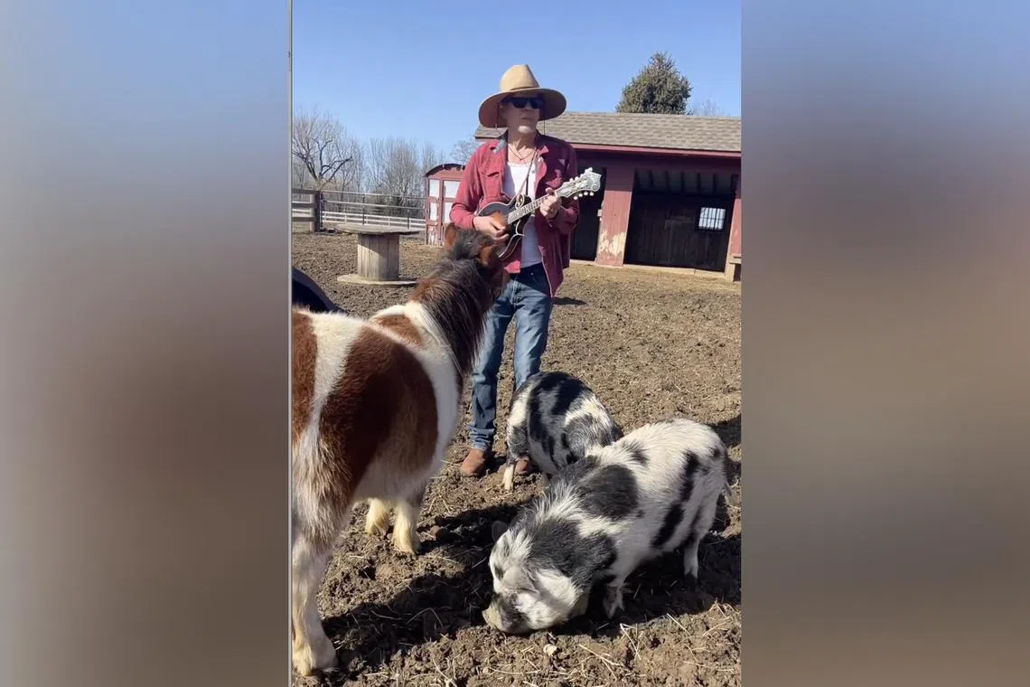 American actor Kevin Bacon (above) and his wife Kyra Sedgwick shared a video where they serenaded their farm animals with Beyonce's Texas Hold 'Em.