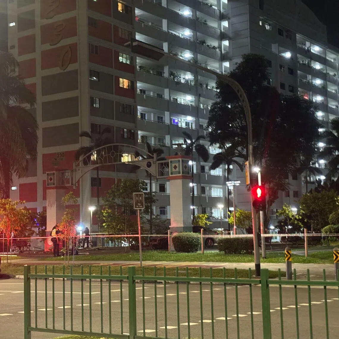The police said they were alerted to the accident near Block 231, Ang Mo Kio Avenue 3, at about 8.30pm on Jan 19.