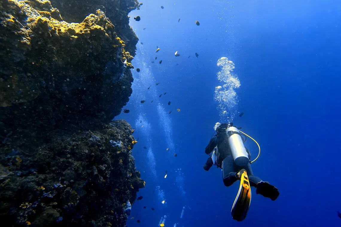 hbweekend - Dive sites in the Bunaken National Marine Park, are abundant with life, from fishes of all shapes and sizes to a staggering number of turtles. Visibility at these sites can exceed 20m

Credit: Hariz Baharudin