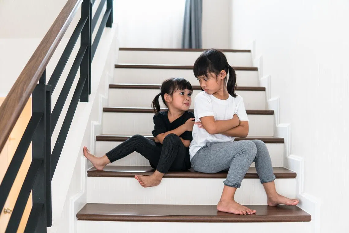The benefits of siblings reach further, into the harder corners of adolescence and beyond.