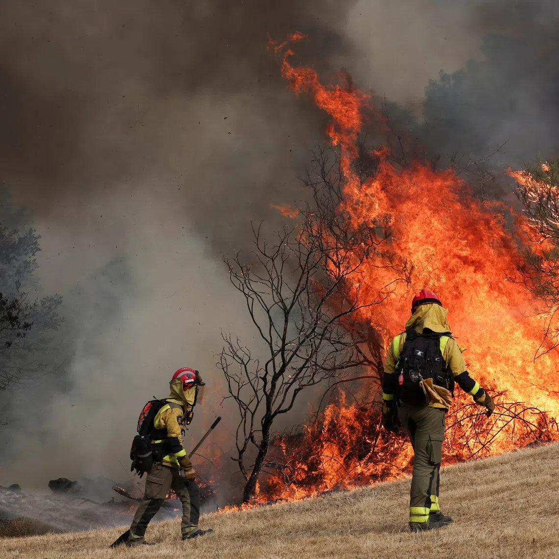 Researchers from the University of Tasmania found that over 43 per cent of the costliest fires since 1980 happened in the past 10 years. 