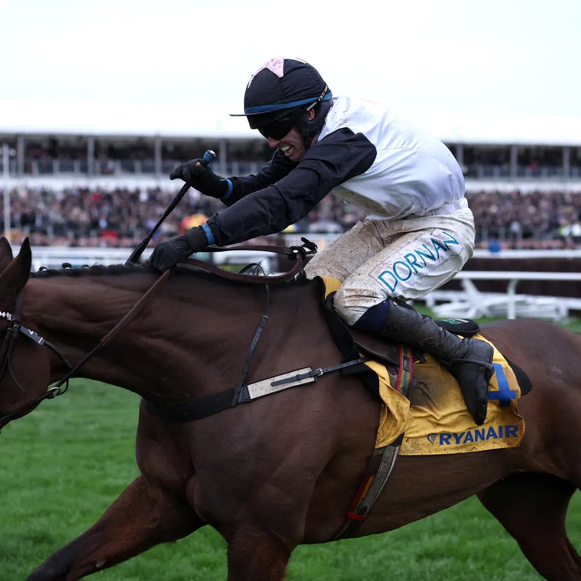 Horse Racing - Cheltenham Festival - Cheltenham Racecourse, Cheltenham, Britain - March 12, 2026 Heart Wood ridden by Darragh O'Keeffe in action on their way to winning the 16:00 Ryanair Chase Action Images via Reuters/Paul Childs