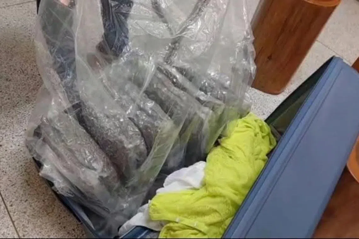 Approximately 13kg of compressed cannabis packed in a suitcase was found in the restroom.