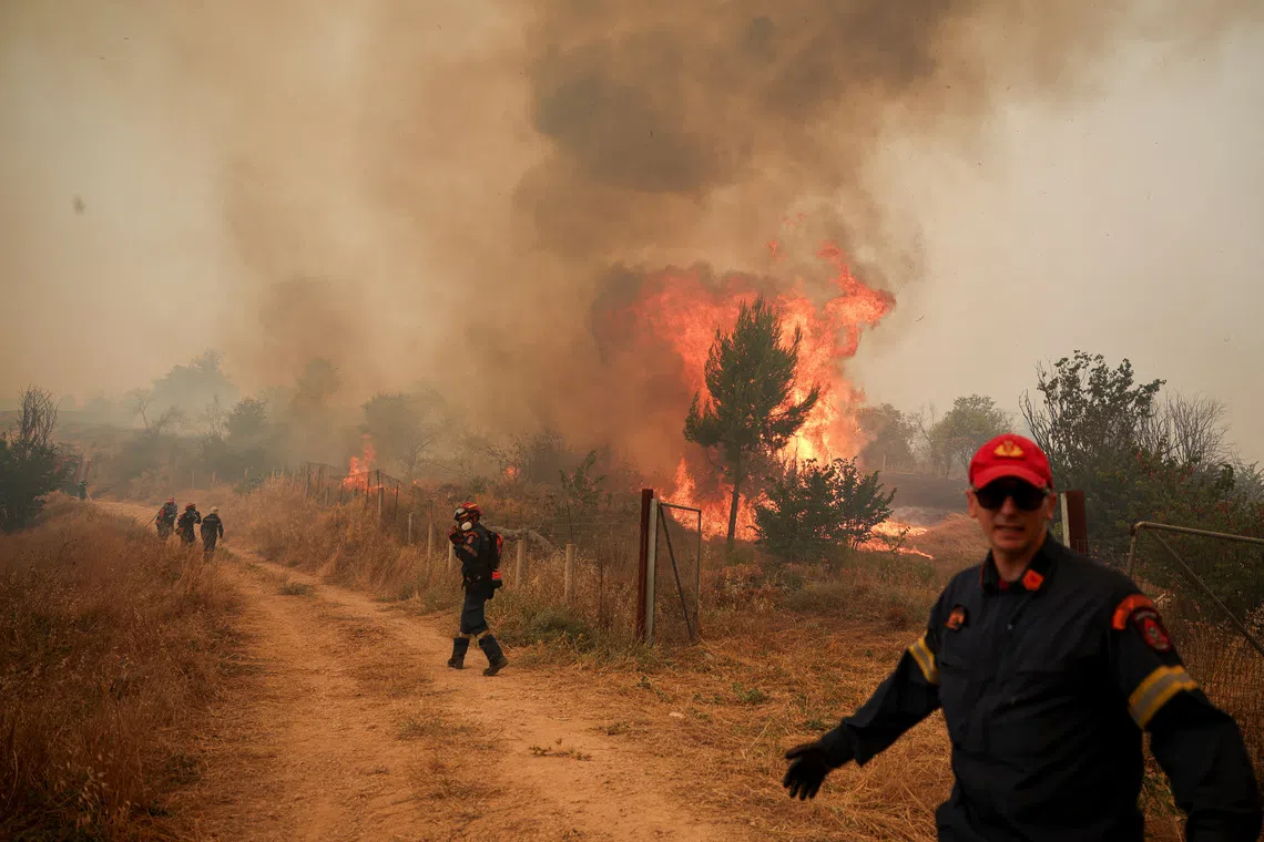 Firefighters battling a wildfire on Aug 2 in the Megara valley, Greece.