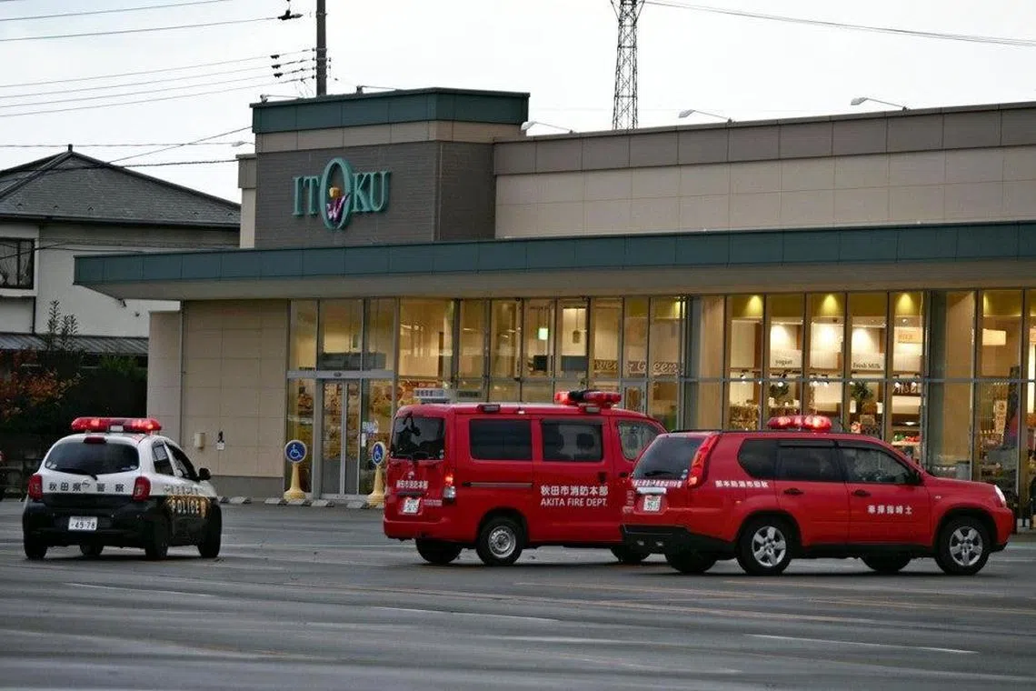 Local authorities have set up two traps at the store’s entrance in an attempt to capture the animal. 