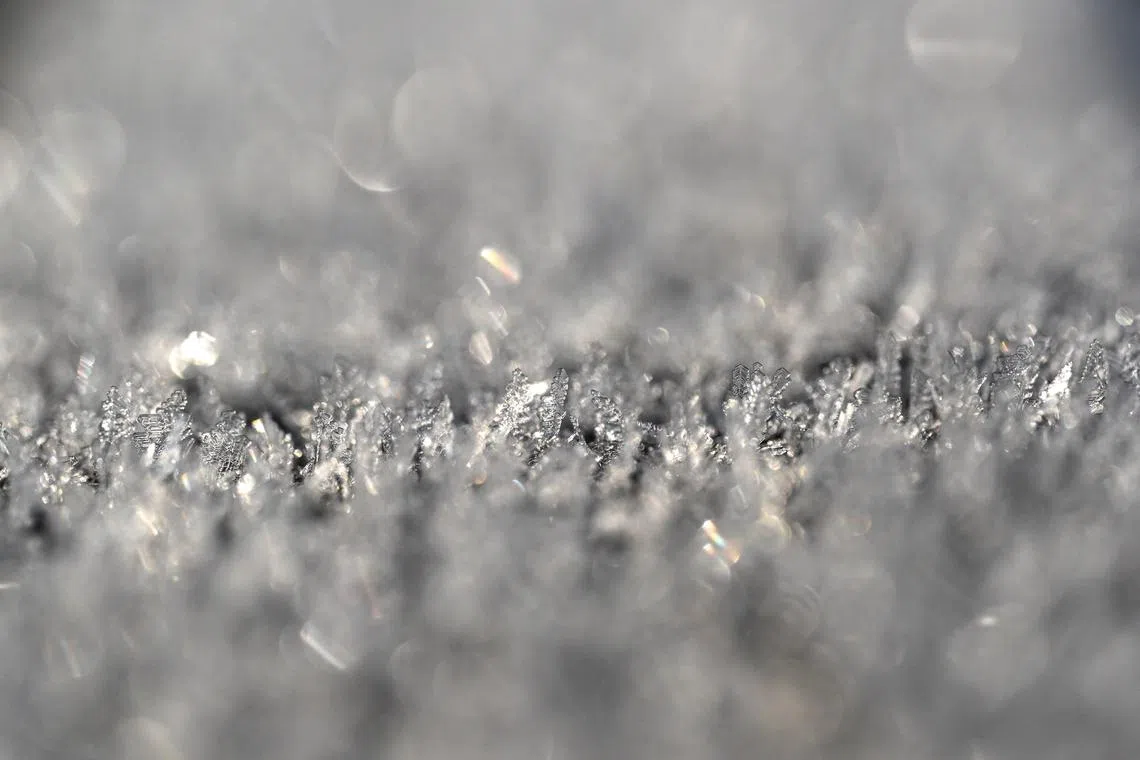 Frost on a cold morning in Przemysl, Poland, Feb 18, 2025. The meteorological forecast indicates severe frost and the nights are expected to be exceptionally cold with temperatures reaching -10 degrees Celsius.  