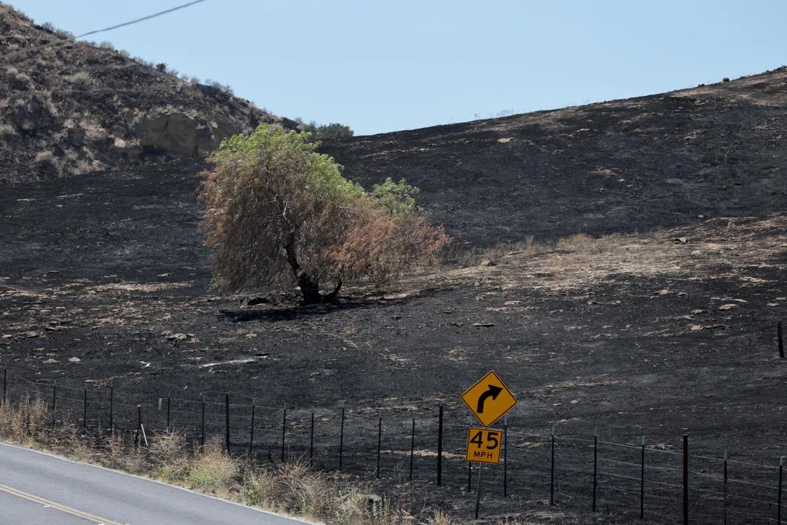 A burned hillside caused by the Corral Fire in San Joaquin County, California, on June 4. The wildfire that started on June 1 burned over 5,733 hectare, due to mostly dry grass and strong gusting winds. 