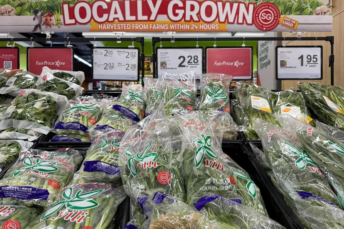 Local vegetable production rose slightly in 2025 to 16,600 tonnes, up from 16,400 tonnes in 2024.
