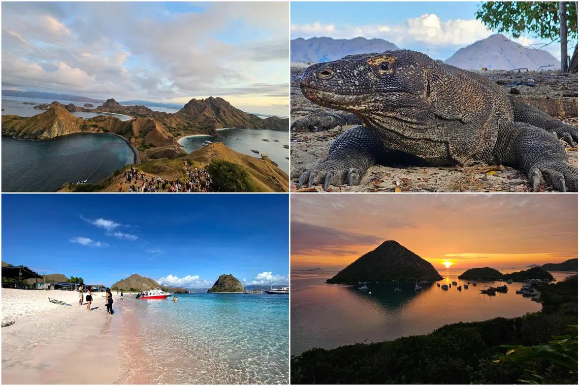 A three-day, two-night itinerary is packed with visits to snorkelling sites, a pink beach and treks up to scenic viewpoints on Padar and Kelor islands.