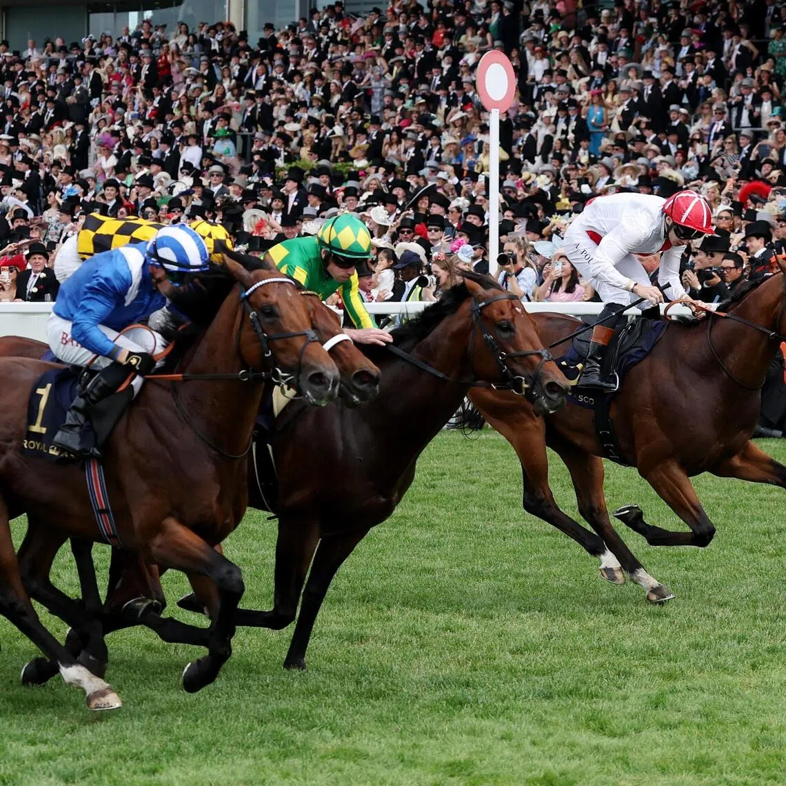 Horse Racing - Royal Ascot 2026 - Ascot Racecourse, Ascot, Britain - June 20, 2026
Almeraq ridden by Tom Marquand wins the 15:40 Queen Elizabeth II Jubilee Stakes Action Images via Reuters/Andrew Boyers