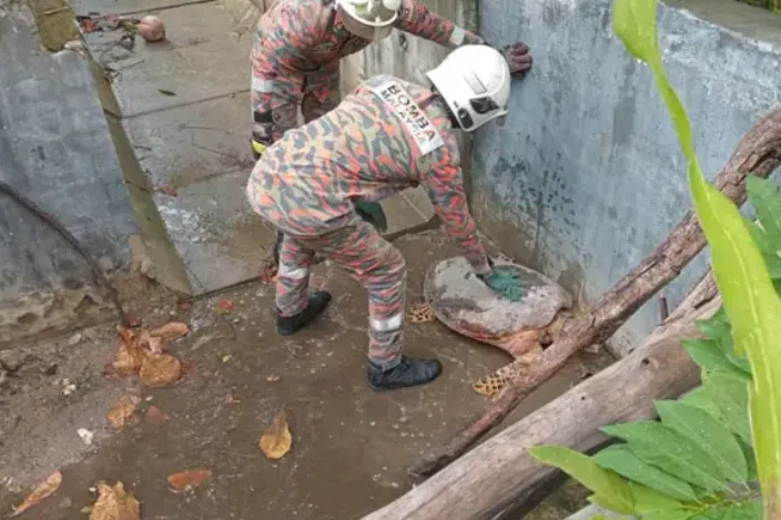 Firefighters rescue turtle trapped in drain near Melaka motel