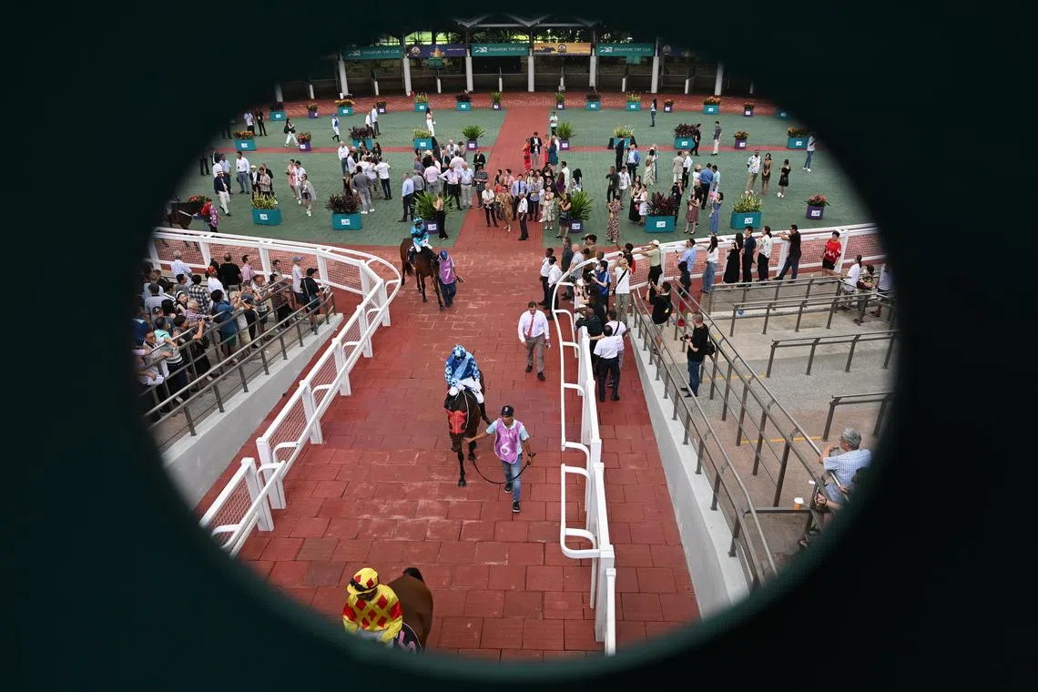 Jockeys exiting the parade ring ahead of their race at Singapore Turf Club on October 5, 2024.