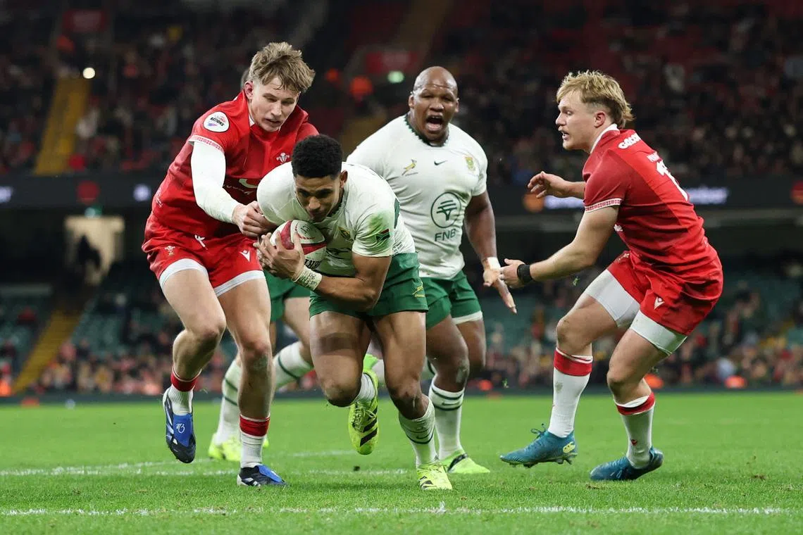 Rugby Union - Autumn Internationals - Wales v South Africa - Principality Stadium, Cardiff, Wales, Britain - November 29, 2025 South Africa's Sacha Feinberg-Mngomezulu in action before scoring their ninth try Action Images via Reuters/Andrew Boyers