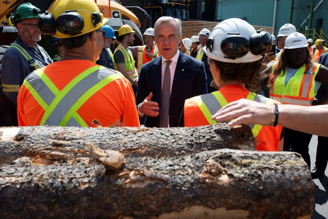 The increased fees from the US will likely further hamper an already struggling Canadian industry and benefit foresters in the US South.