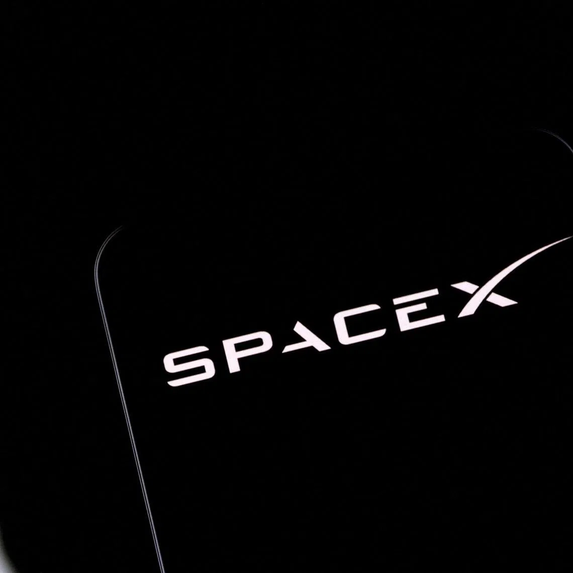 Elon Musk’s courtship of his die-hard followers since Tesla’s early days has given him rock-star status. 