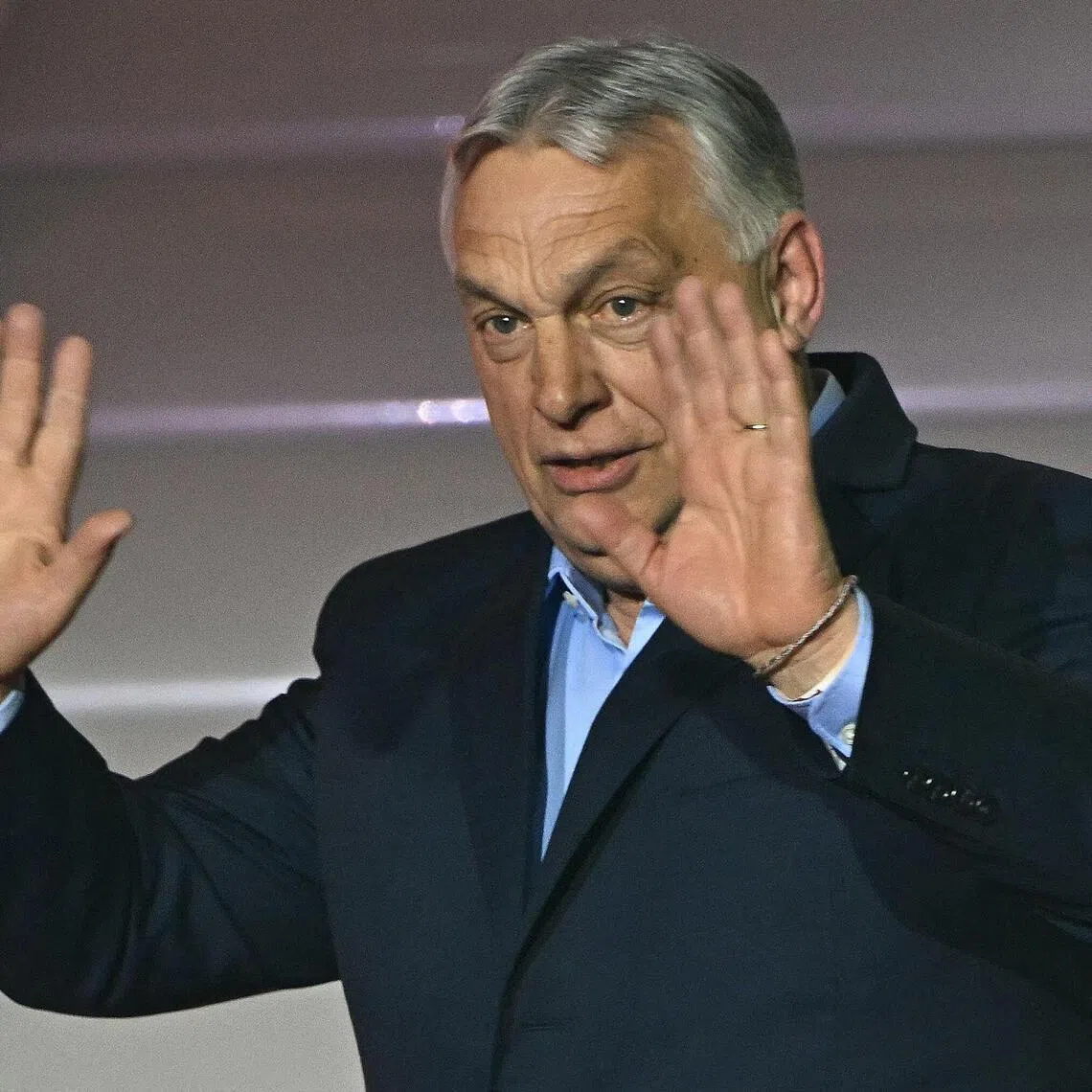 The organisation's primary activities included publishing studies echoing Hungary's former Prime Minister Viktor Orban's stance on issues such as Ukraine, among others. 
