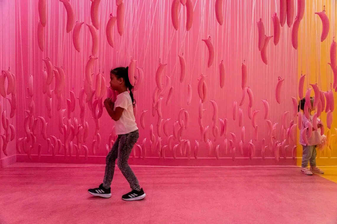 Despite its name, the Museum of Ice Cream, a for-profit amusement centre, has more in common with entertainment restaurant chain Chuck E. Cheese than an educational institution.