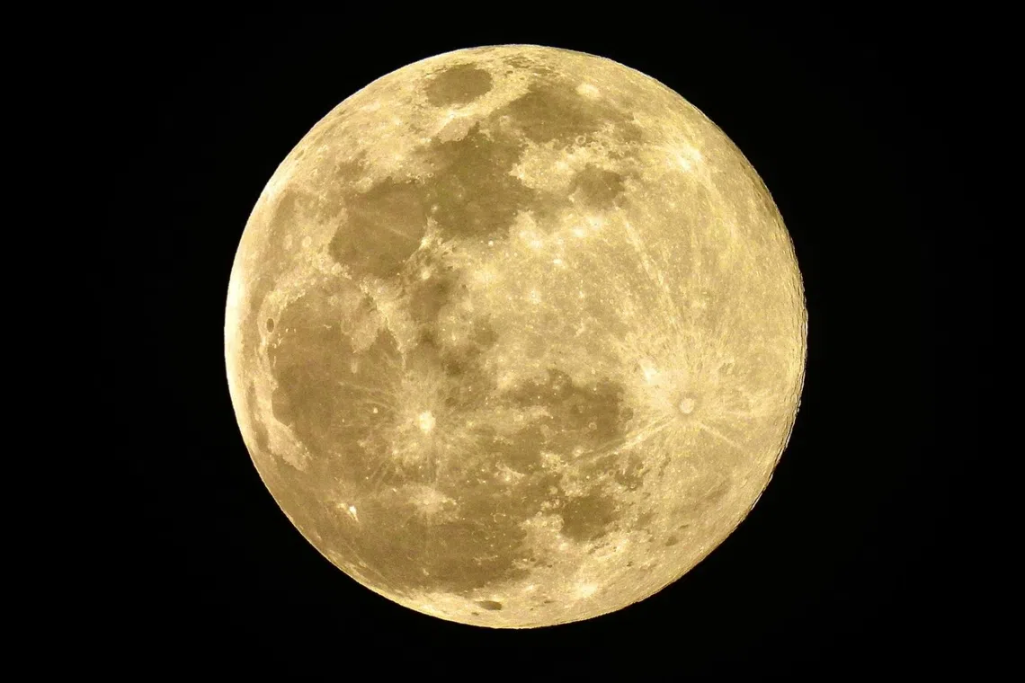 The Beaver Moon reached peak brightness at about 7.30pm, appearing larger and more luminous than usual. 