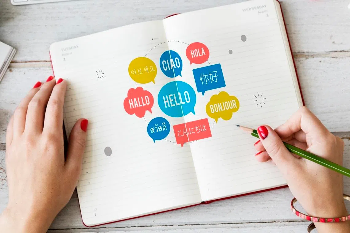 The belief that instant translation renders language learning redundant rests on the fallacy that meaning travels neatly across languages but human language is far more complex than that, says the writer.