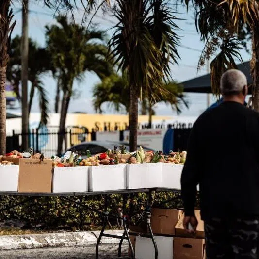 Donated food items at Curley's House Food Bank in Miami, Florida, on Nov 4.