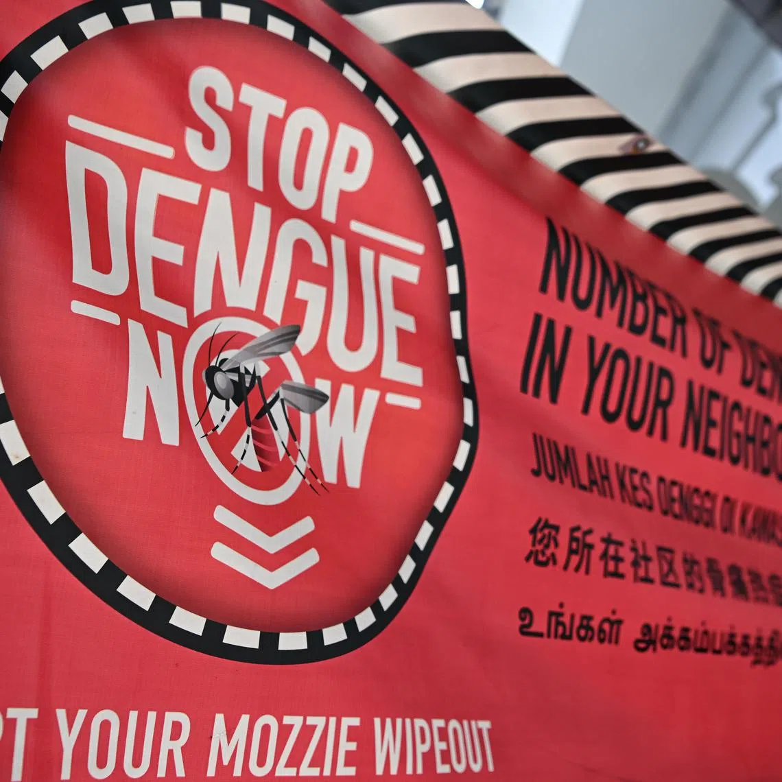 Already, more than 5,500 people here have contracted dengue in the first 14 weeks of 2024, according to NEA data.