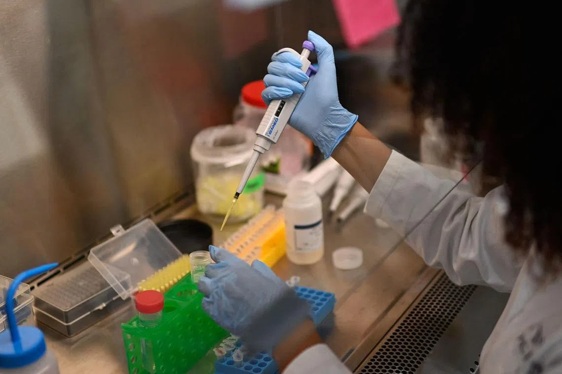 Multiple myeloma affects a type of white blood cells called plasma cells. There is currently no cure.