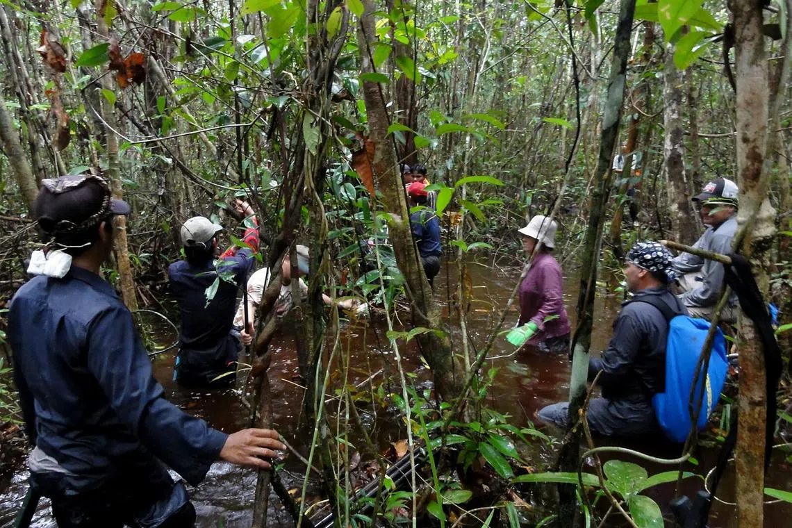 The government cited the licence-holder, PT Rimba Raya Conservation, for three offenses.