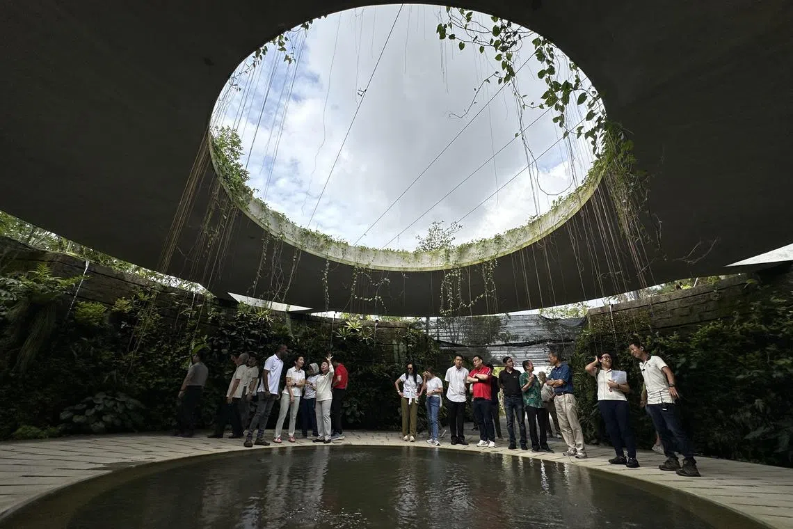 The Japanese Garden will feature a gorge-like landscape called the Sunken Garden, where walled paths lead park-goers to a centrepiece (pictured) that takes inspiration from a collapsed limestone cave formation.