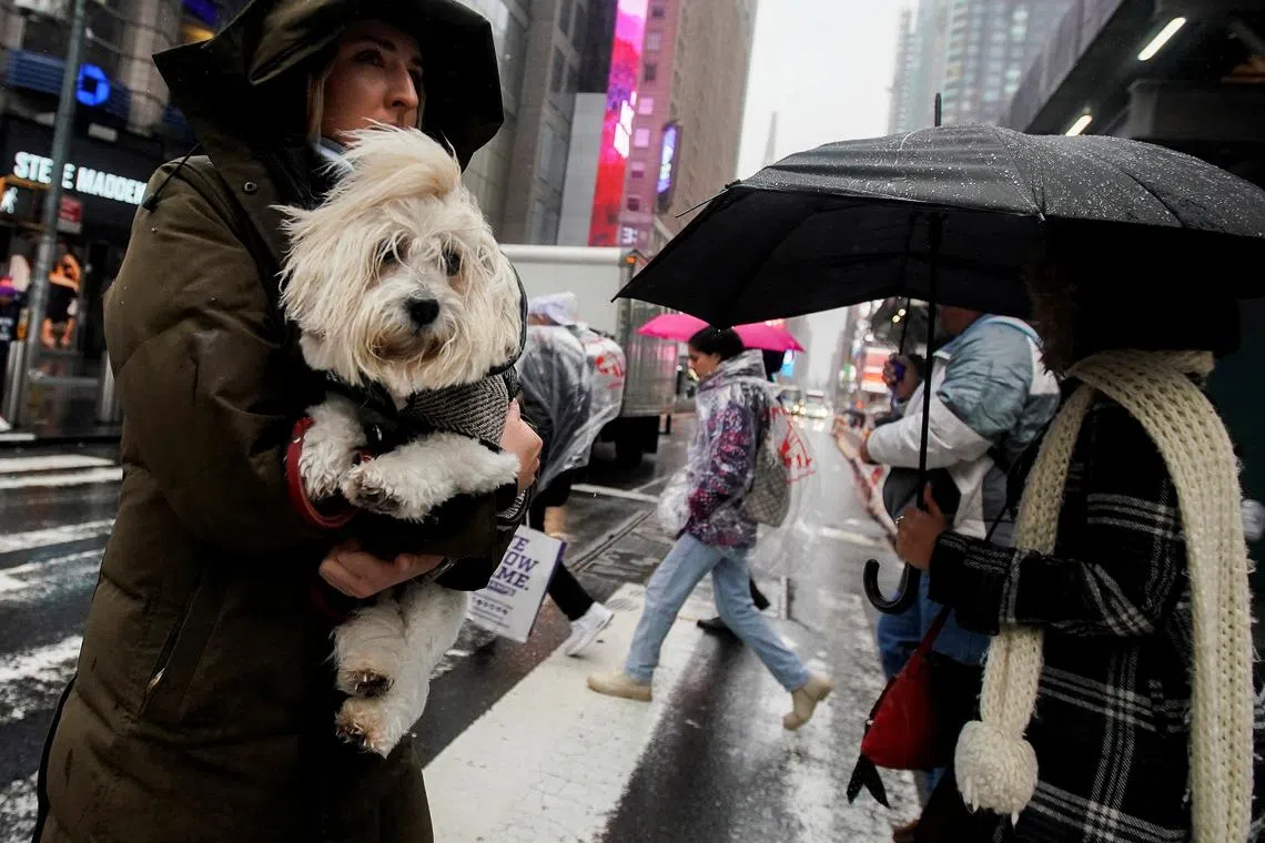 A woman carries her dog during a rainy and windy day in New York City, U.S., December 16, 2022.