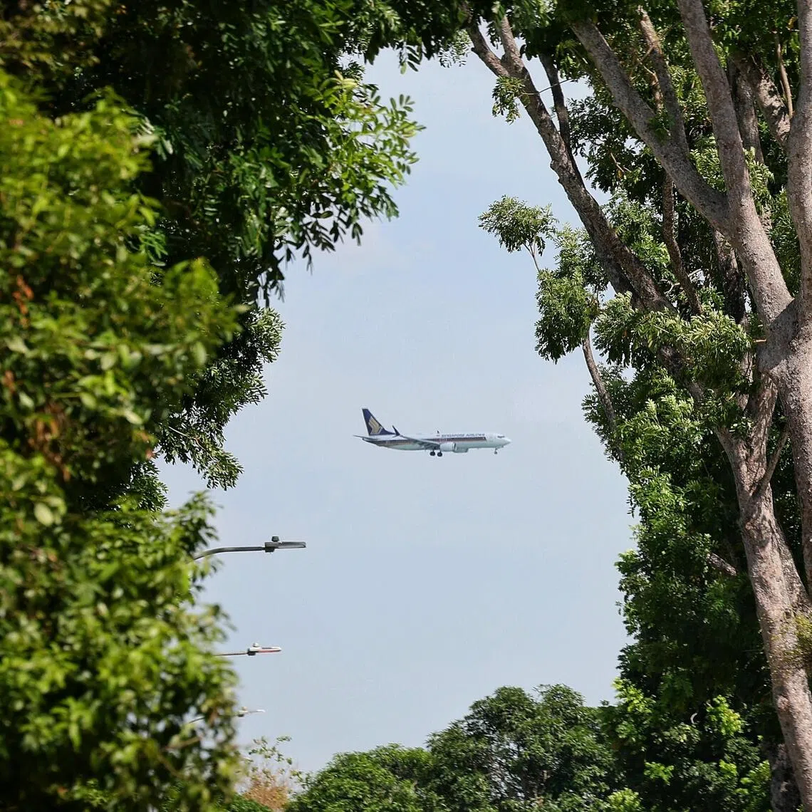 Can an air hub stay competitive while making flying greener? Singapore is betting so.