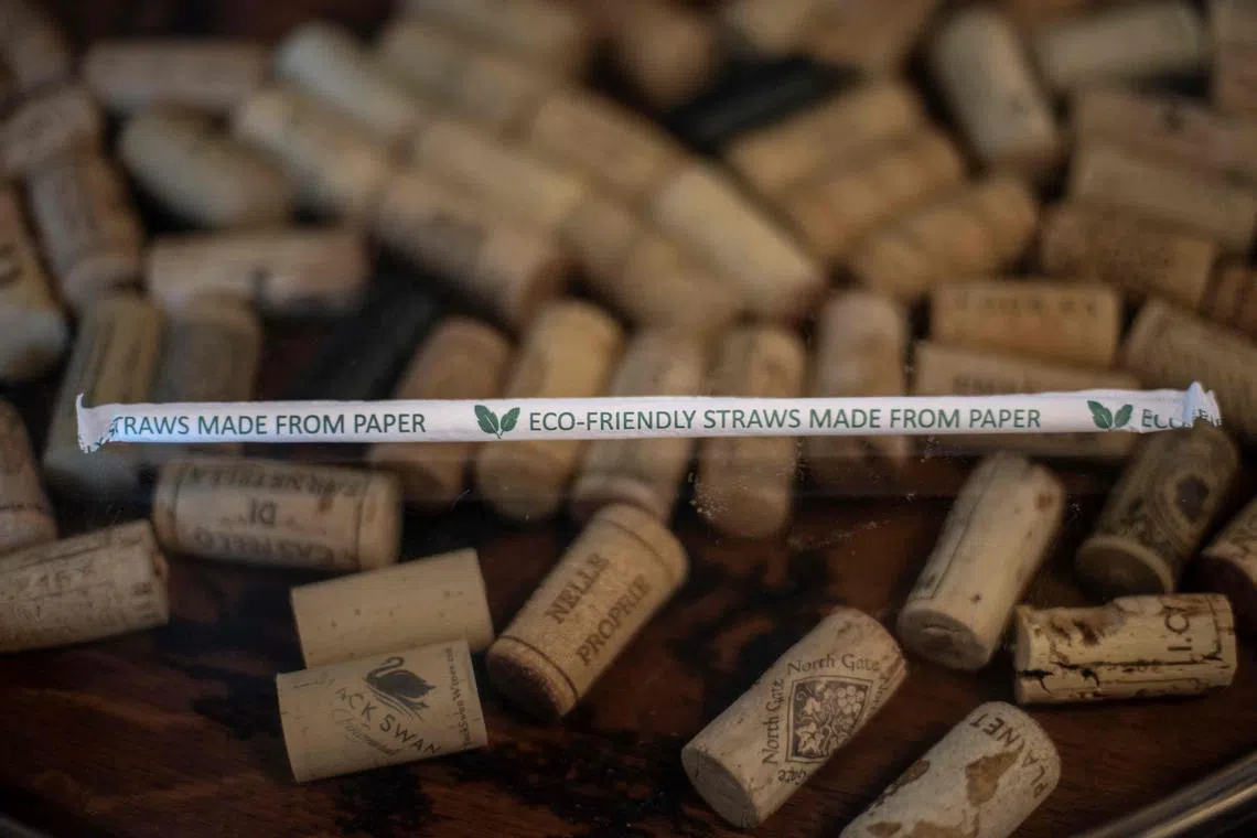 The growing trend for paper drinking straws has long irritated US President Donald Trump.