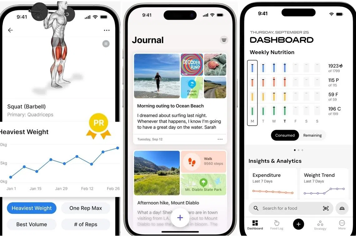 There are a variety of productivity apps out there to help keep your digital life -- and thereby your offline life -- organised.