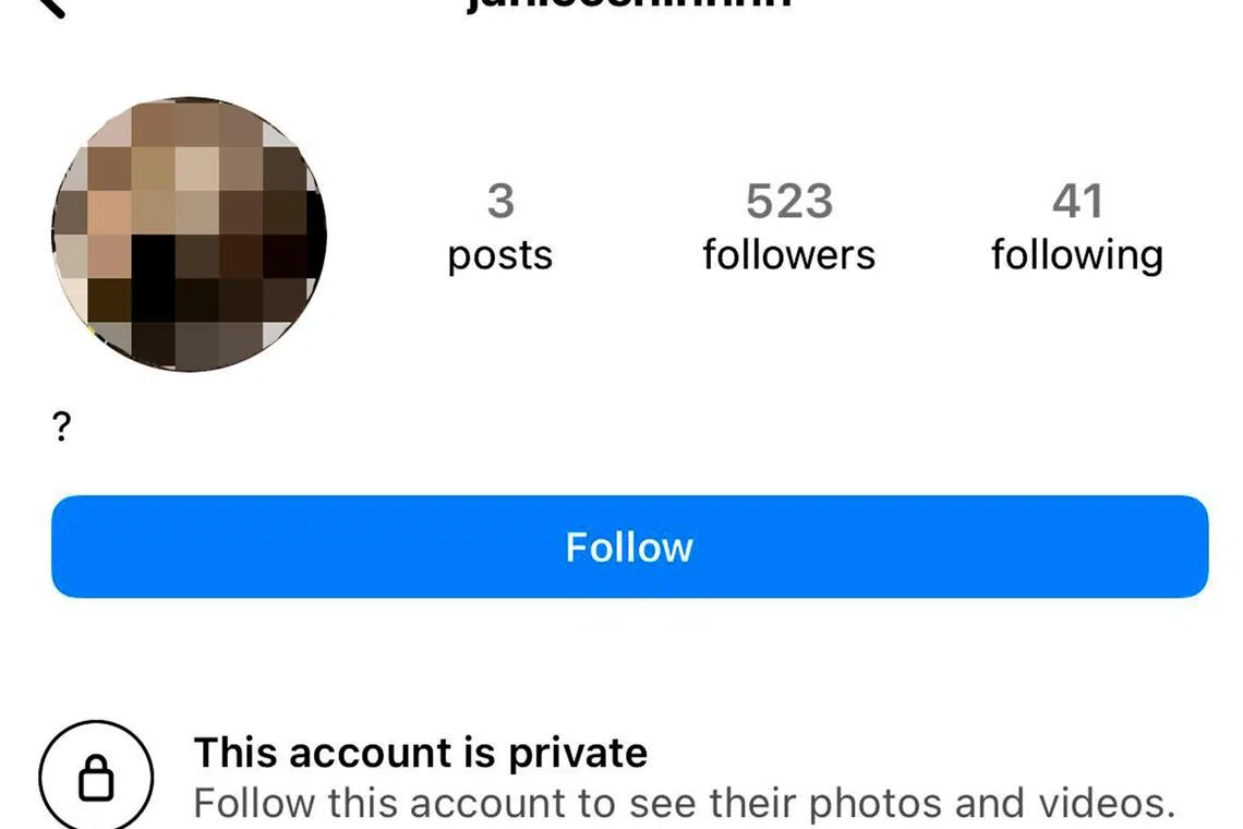 kcdeepfake16 - Instagram account of the scammer 'Janice'
