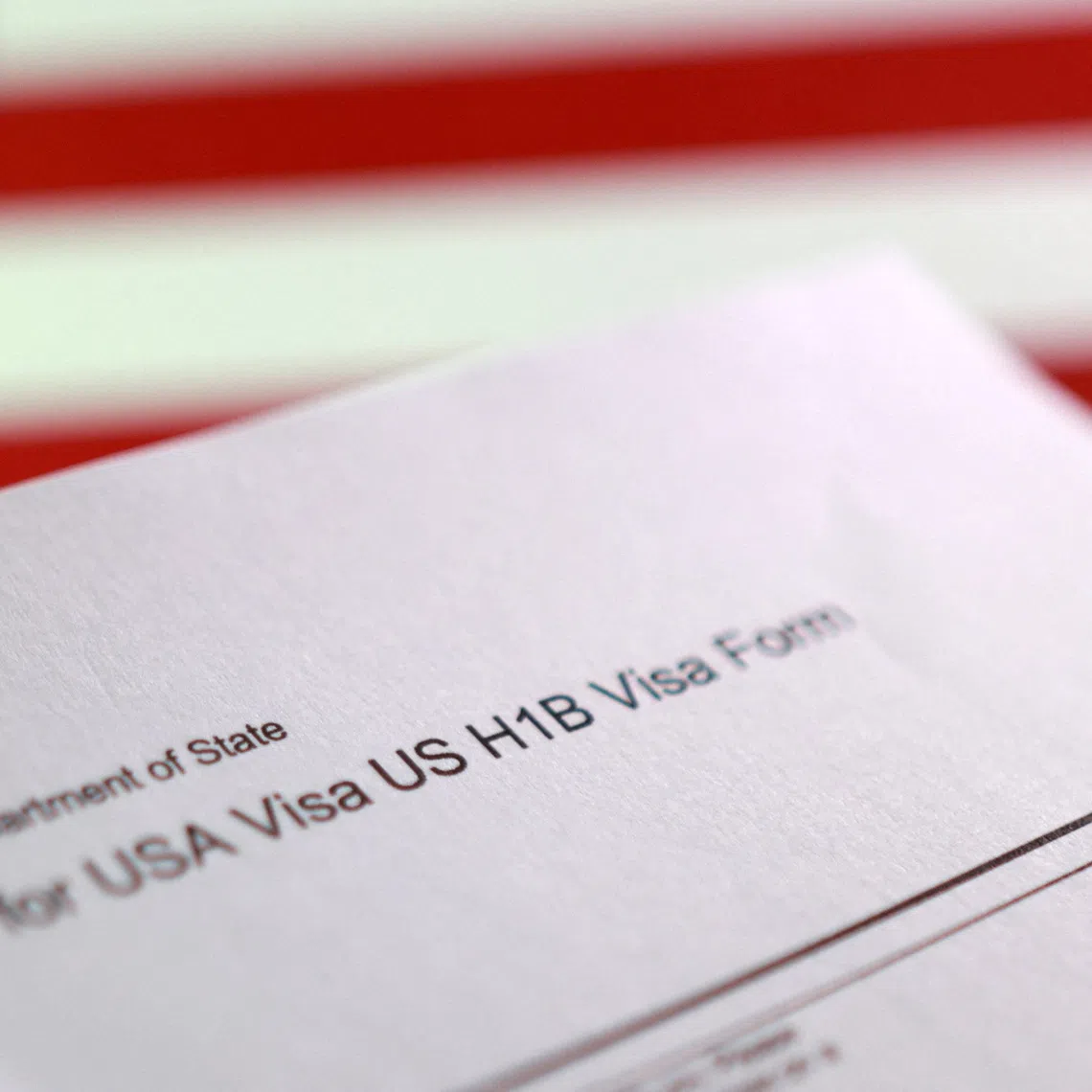 The visa programme allows tech and other professionals from abroad to work in the United States for a few years.
