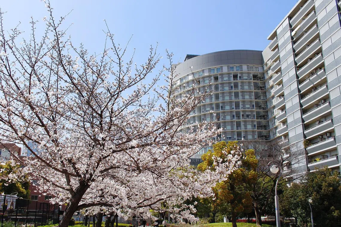 Kitano Hospital in Osaka (pictured) will lead the trial, alongside Kyoto University Hospital.