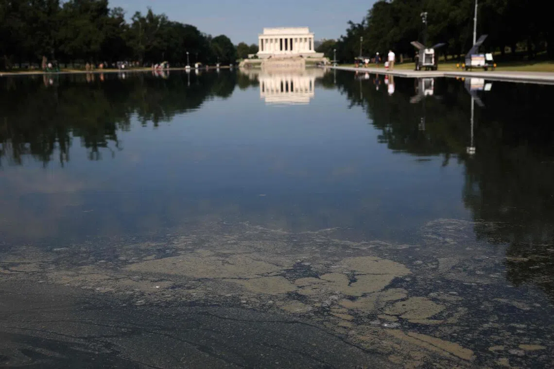WASHINGTON, DC - JUNE 25: Algae is seen in the Lincoln Memorial Reflecting Pool on the National Mall on June 25, 2026 in Washington, DC. Workers continue to clean algae from the reflecting pool amid an increased law enforcement presence after claims made by President Trump that vandalism was the cause of the damage.   Win McNamee/Getty Images/AFP (Photo by WIN MCNAMEE / GETTY IMAGES NORTH AMERICA / Getty Images via AFP)