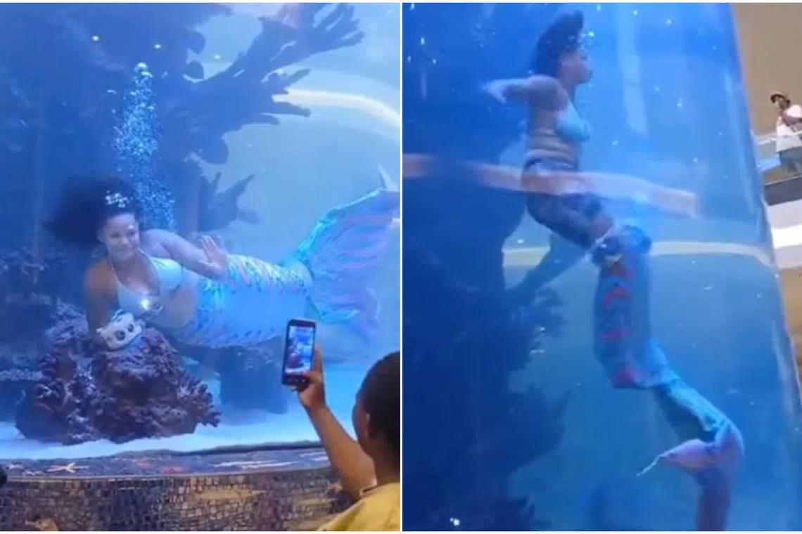 The mermaid starts her act by waving and blowing kisses. Her “tail” later gets stuck and she ditches her costume to free herself.