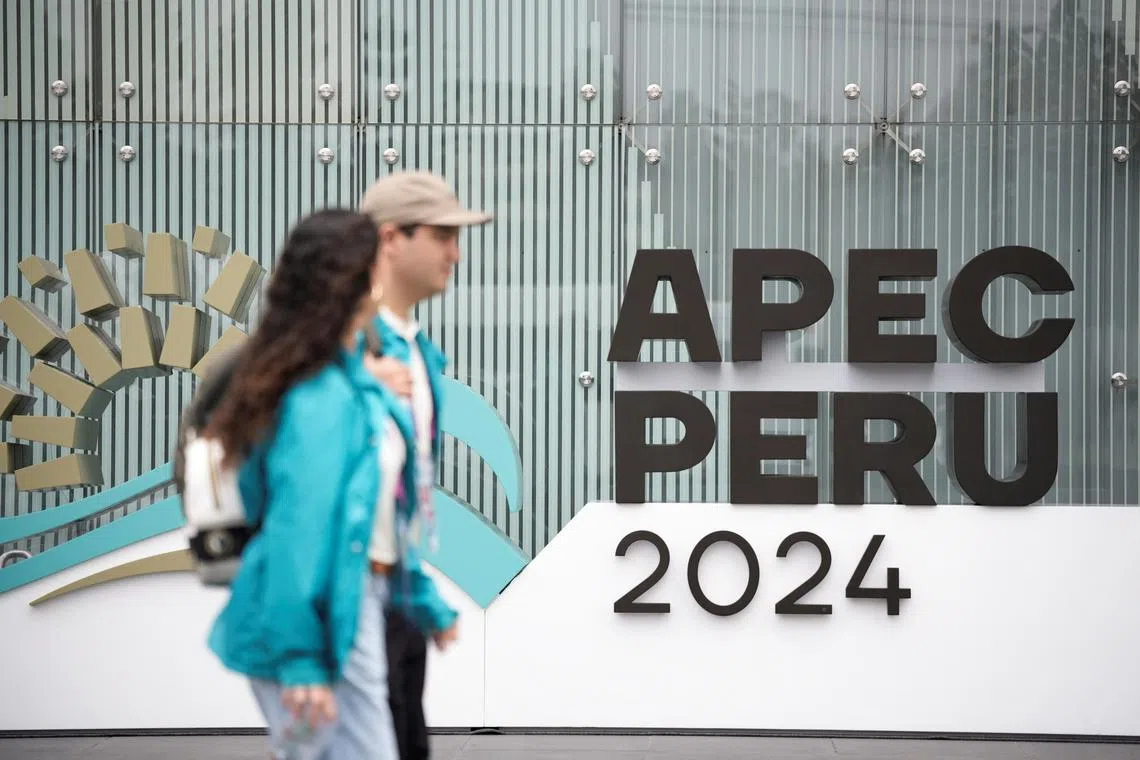 Leaders of the world's largest economies are meeting in the Peruvial capital LIma for the Apec summit.