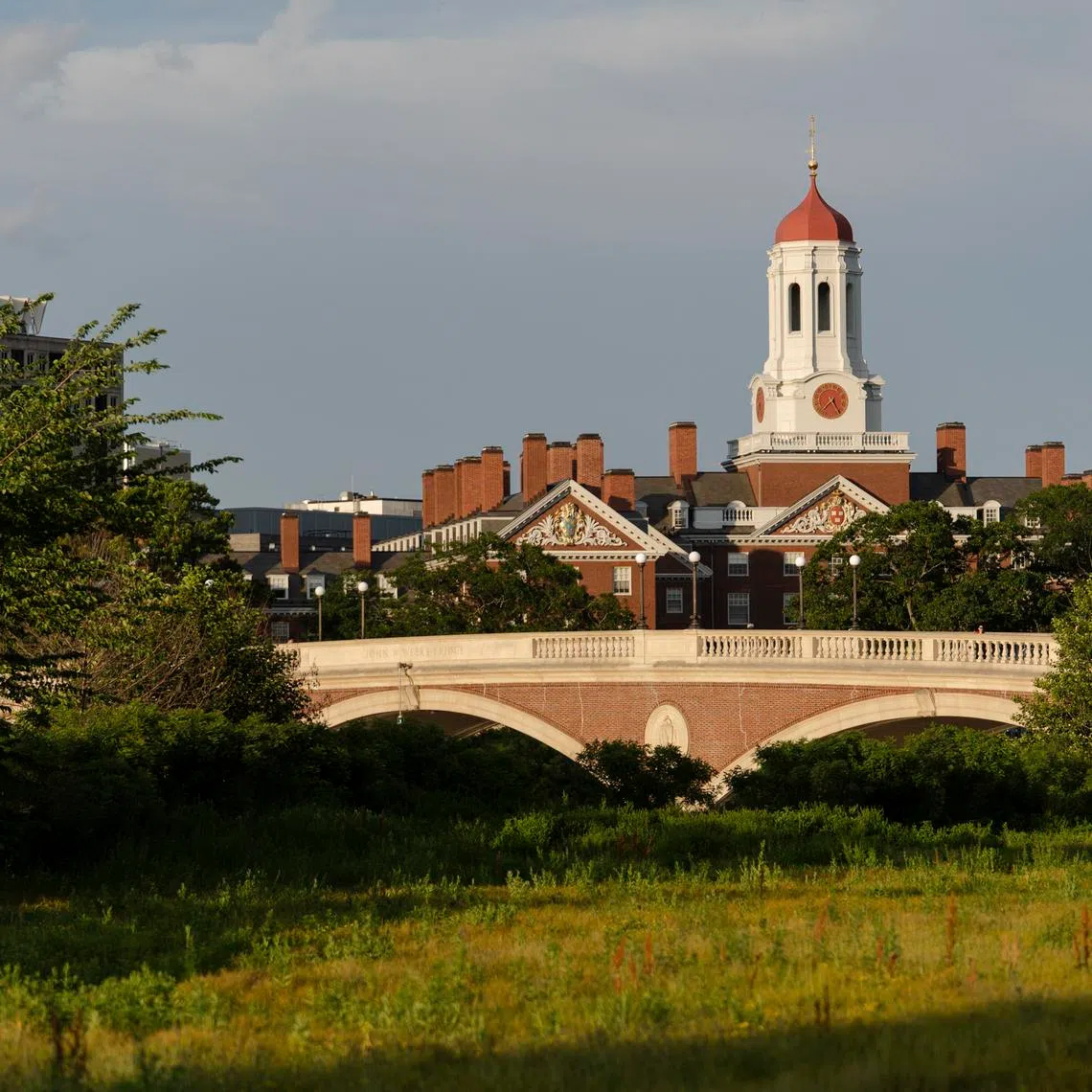 Harvard University has been on a campaign to make it harder to get an A grade.