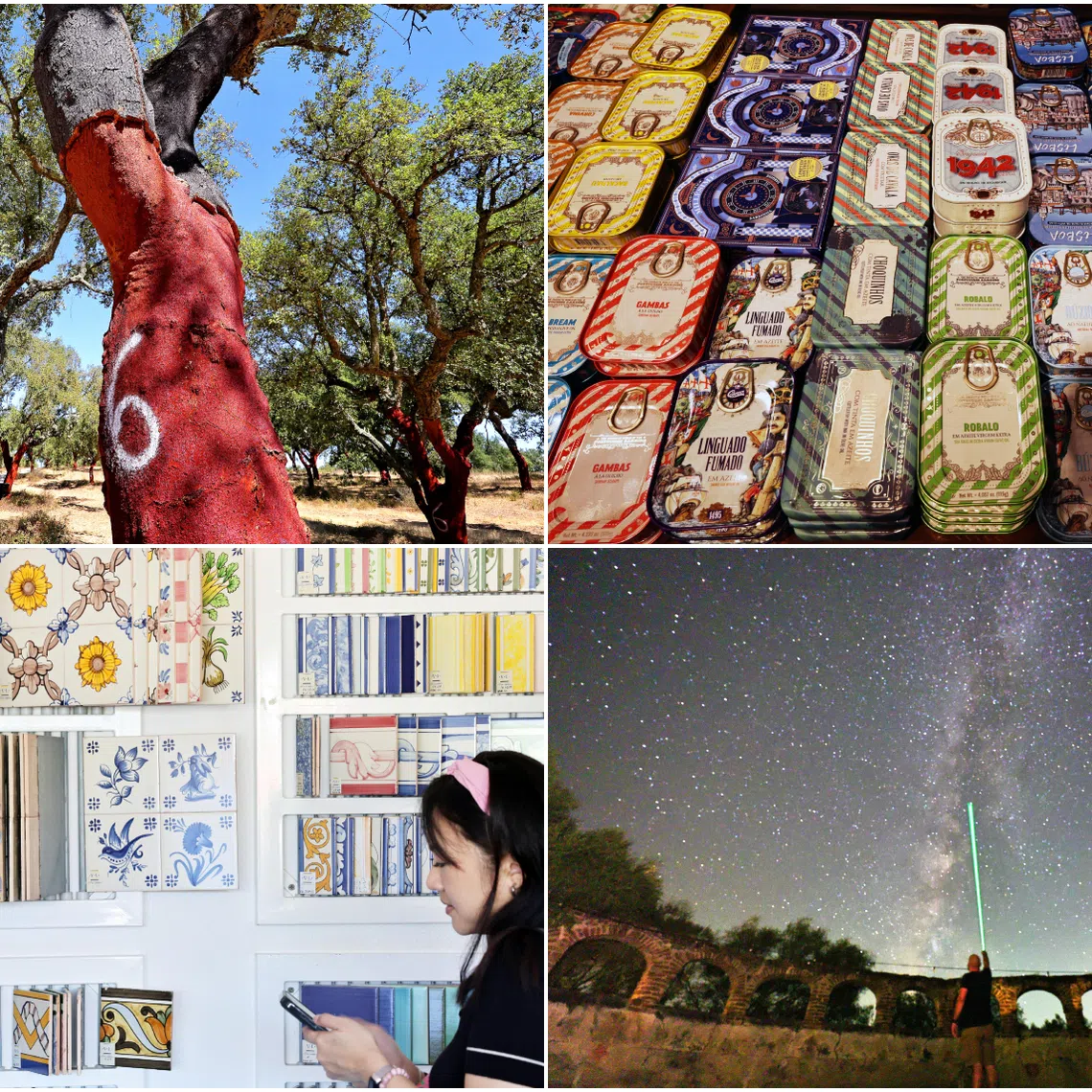 (Clockwise from top-left) NASA-grade cork forests, superfood canned sardines, celestial night sky, and Portuguese azulejos tiles.